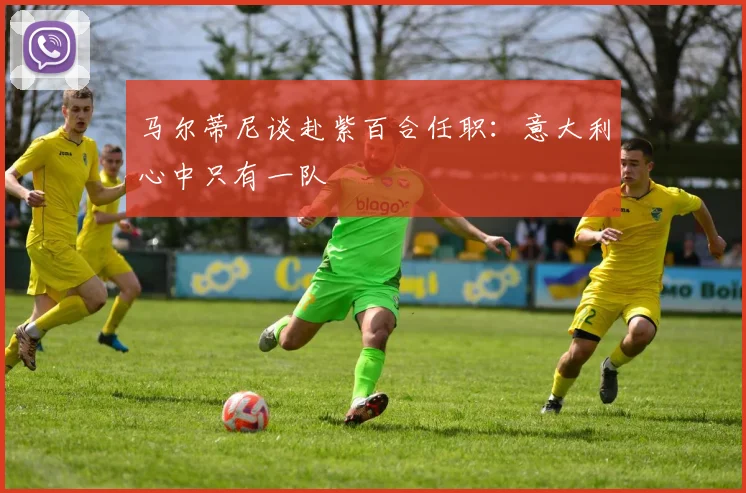 马尔蒂尼谈赴紫百合任职：意大利心中只有一队