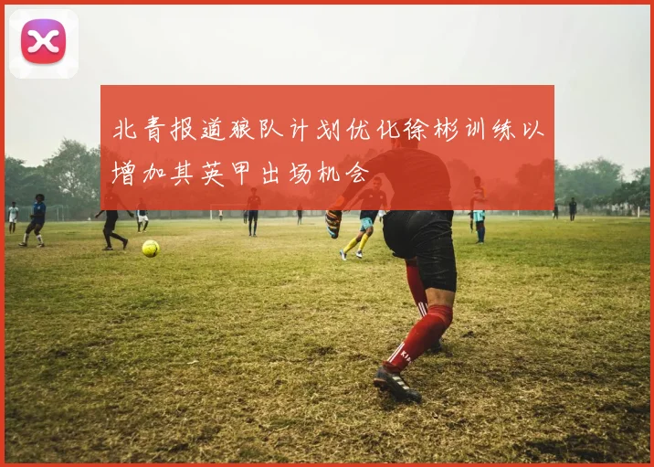 北青报道狼队计划优化徐彬训练以增加其英甲出场机会